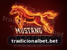 tradicional bet visual 1